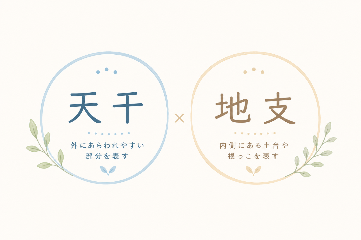 天干と地支の違いをやさしく説明した四柱推命のシンプル図解