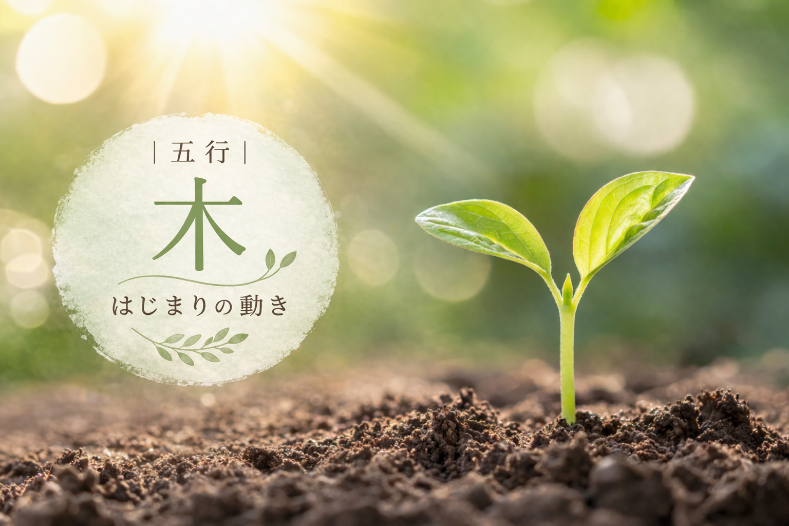 五行の木のイメージ｜芽が光を受けて成長しはじめる様子